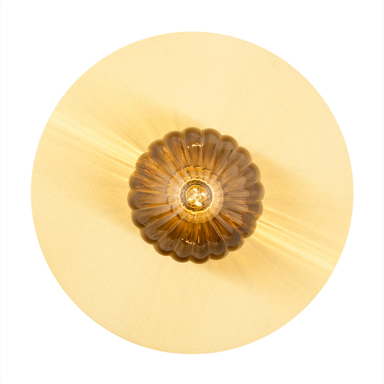 PALOMA 8509 wall lamp / ceiling lamp 1 pc.