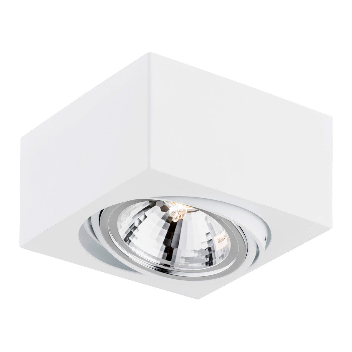 RODOS 263 ceiling light 1-light