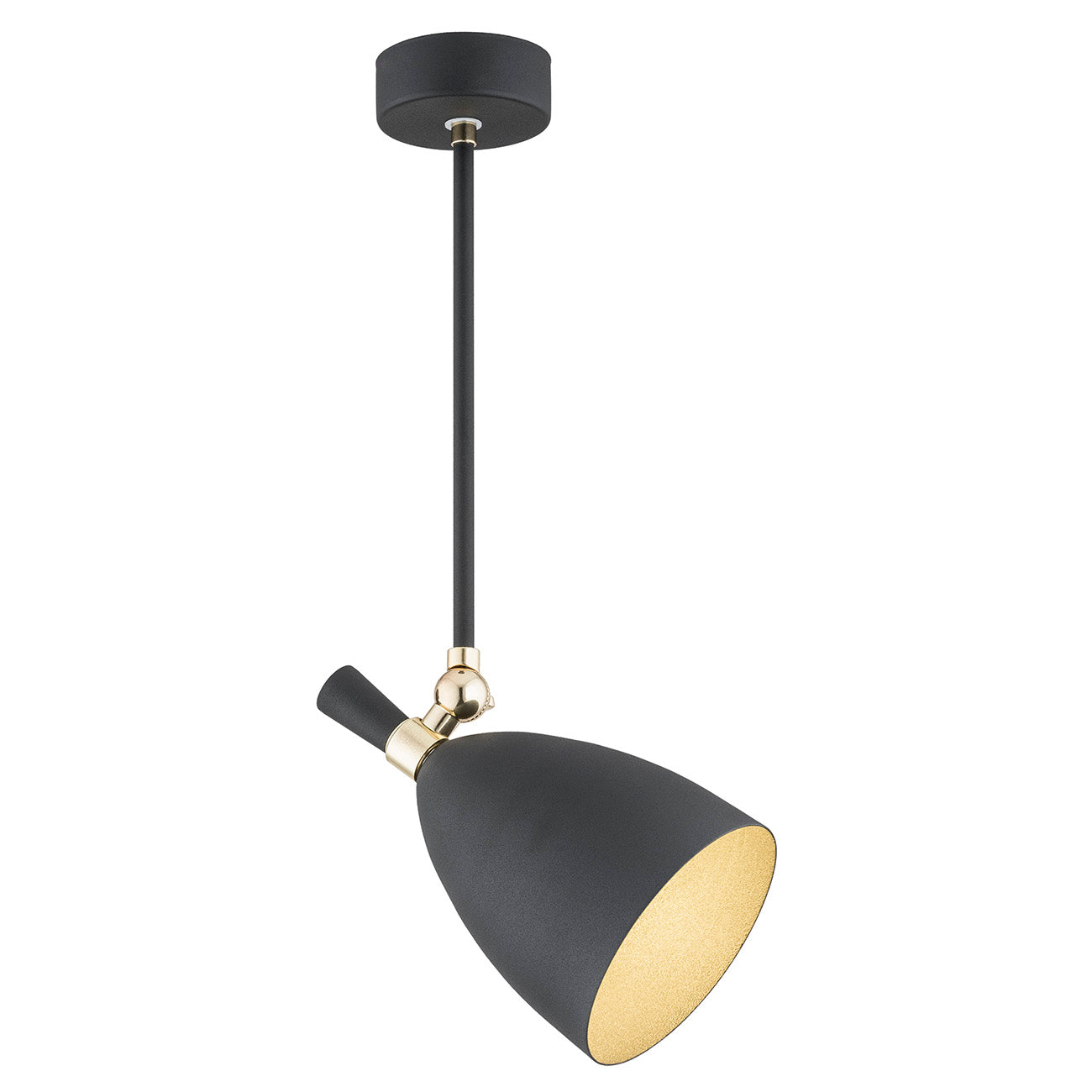 CHARLOTTE 4686 pendant lamp 1-light