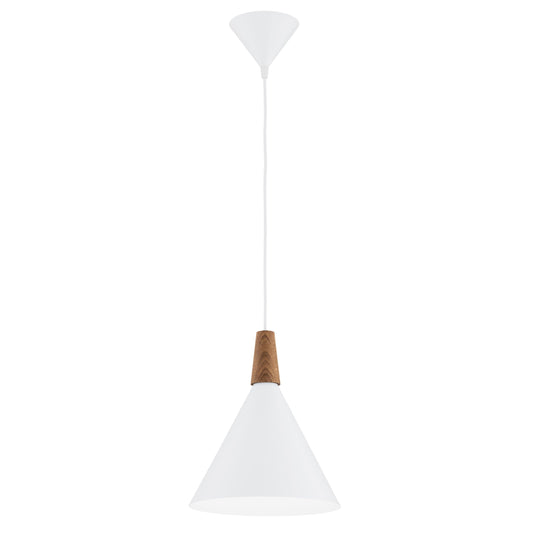 KEGEL 8630 1-light pendant lamp M