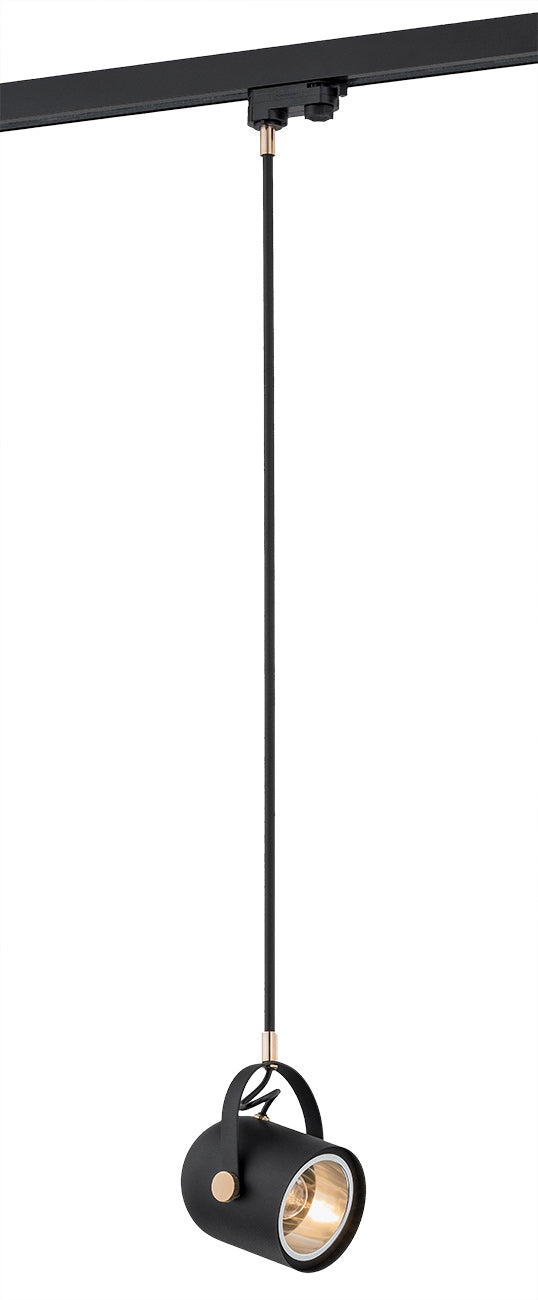 NET 4314 1-light overhang