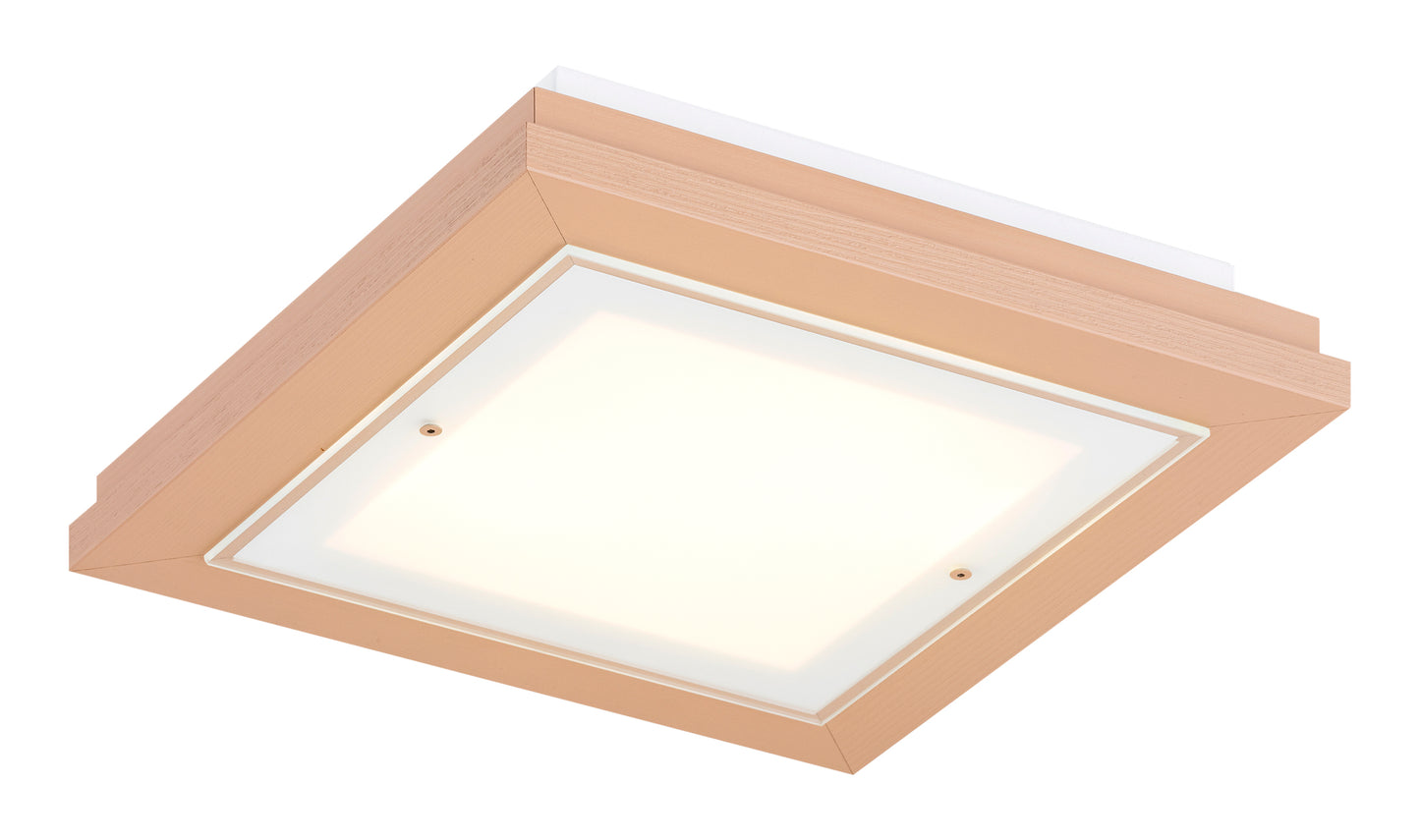 TABOR 7267 ceiling lamp 2-light, small