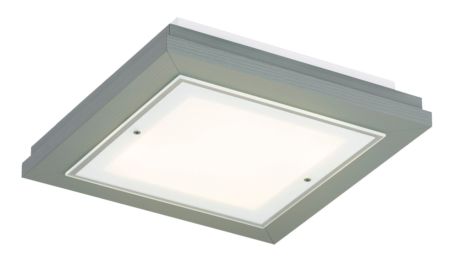 TABOR 7269 ceiling lamp 2-light, small